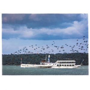 Raddampfer - Postkarte